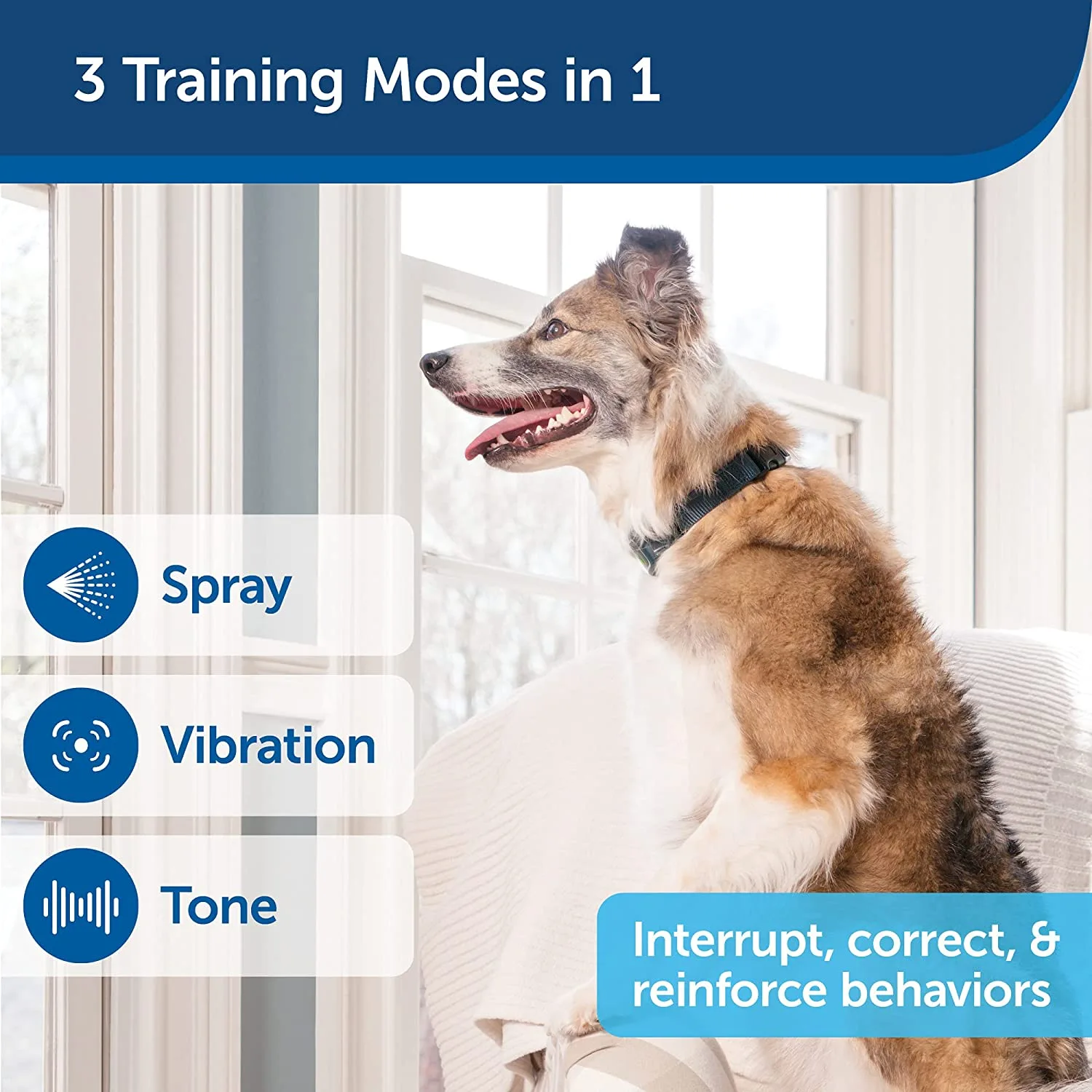 Petsafe Anti-Gø 300 m Remote Spray Trainer
